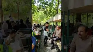 IRAN TODAY 🇮🇷: Serenity and Local Life in North Tehran's Nature | POV Hiking