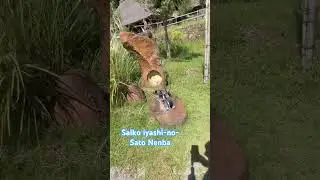 Saiko Iyashi no Sati nenba pt2