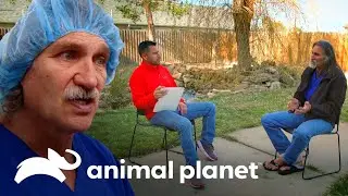 Dr. Jeff Young fala sobre os 30 anos de carreira | Veterinário das Montanhas | Animal Planet Brasil