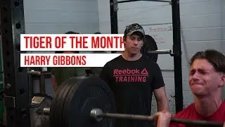 Tiger Of The Month | Harry Gibbons