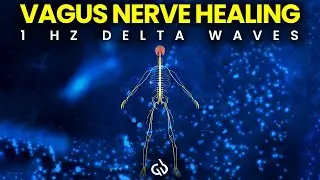 1 Hz Delta Binaural Beats: Vagus Nerve Activation & Deep Healing