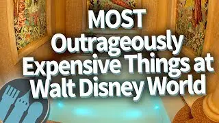 The MOST Outrageously Expensive Things at Walt Disney World!