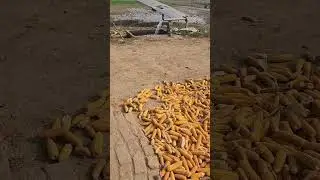 My desi life with old home 🏡 