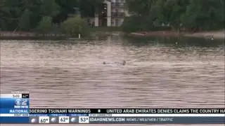 Quinn Pond Drowning Victim Identified