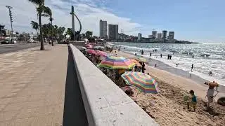 Paseo por Monos Bichis