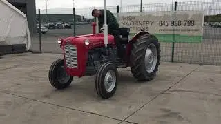 Massey Ferguson 35 Vintage Tractor - Fully Restored - Irish Machinery Auctions