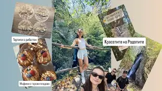ИДЕЯ ЗА НЕДЕЛНА РАЗХОДКА СРЕД РОДОПИТЕ/ГОТВИМ ЗАЕДНО: ПРОТЕИНОВИ МЪФИНИ И ТОРТИЛИ С РИБА ТОН