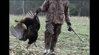 The Mediocre Hunter 2022 Highlights!