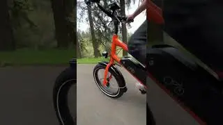 Why do people love the Radwagon 4? We are going to find out! #radpowerbikes #electricbike #ebike