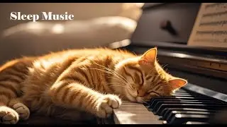 12H Cat Sleep Music 😴 Instant Calm Soft Piano for Deep Relaxation