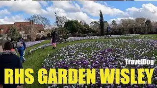 A Tour of RHS Garden Wisley