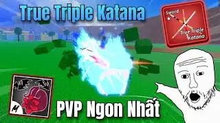 M&igrave;nh Sử Dụng Combo PvP Ngon Nhất Để Săn Bounty Trong Blox Fruits | BCW