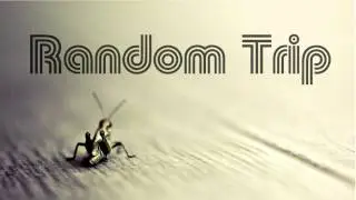 Random Trip - Digital World