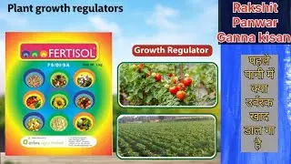 Fertisol fertilizer winter crop top performance result review 👌🙌🙌👍#fertilizer 
