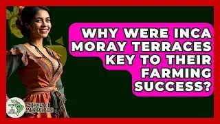 Why Were Inca Moray Terraces Key To Their Farming Success? - History Of Latin Cultures
