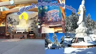හිත හරීම නිවුනු දවසක් | ඇමරිකාවේ වියට්නාම් පන්සල | පුදුම ලස්සනක්