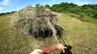 Чего только и не было сегодня. What was not there today.