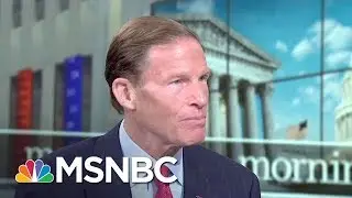 Senator Says President Donald Trump's &lsquo;Dossier&rsquo; PI Should Testify In The Open | Morning Joe | MSNBC