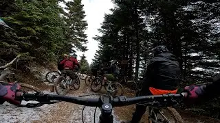 Kravara Bike Park - Dolly Trail | Radon Cragger