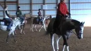 Sr English Pleasure class at Heartland Stables - 11.28.09