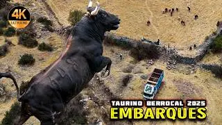 🔥 GRAN Embarque  de Toros Bravos 2025 🚛🐂 Ganader&iacute;a Taurino Berrocal &ndash; Vinchos Ayacucho 🎉