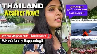Thailand Weather Update |Bangkok, Phuket| Storm Wipha Impact & Travel Safety Tips - കാണാതെ പോകരുത്