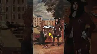 Why Pineapples Were Once Rented Like Luxury Cars #pineapple