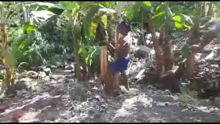 DAT C- WINE PON AH MAN (vincy soca) MOBBOYZ