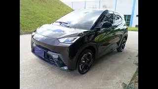 BYD DOLPHIN MINI GS EV