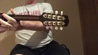 Pava A5