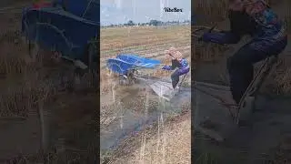 Extreme Mud Races in Rice Fields!