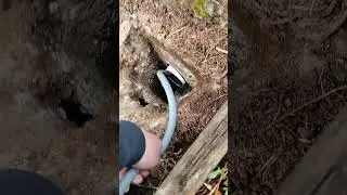 Septic drain field stress test start