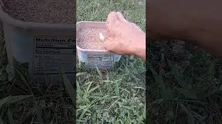 firework test