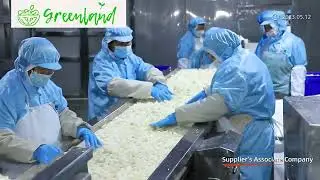 Frozen Vegetables and Fruits Factory From China.