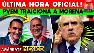 &iexcl;CHANTAJE DEL PVEM! SENADOR DEL VERDE VOTAR&Aacute; VS REFORMA ELECTORAL. RECIBE ORDENES DE T&Iacute;O RICHIE