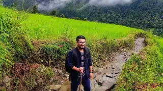 Australian camp and Pitam Deurali short trek