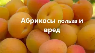 АБРИКОСЫ ПОЛЬЗА И ВРЕД.