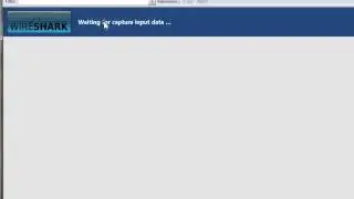 Наблюдение за дубликатами IP-адресов с помощью Wireshark