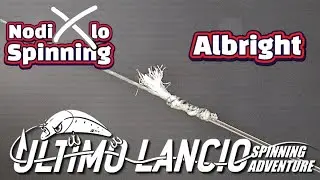 &ldquo;Nodo Albright: Come Farlo Perfetto per la Pesca a Spinning &ndash; Guida Passo Passo&rdquo; nodi x lo spinning