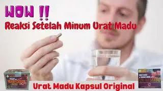 WOW!!! Begini reaksi setelah minum urat madu kapsul