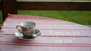 С.т.а.л.к.е.р. 