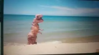Rehact funny video