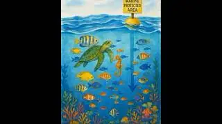 Marine Reserve