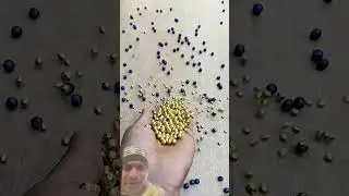 Satisfying Cat ASMRReverse Magic#shortsCat ASMR Reverse Beads Satisfying🤔