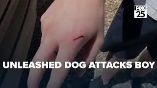Unleashed dog bites Logan County boy