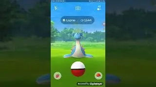 A Wild Lapras Has Appeared! Can Jaguar Catch It? Almost As Rare As Dragonite!