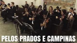 Pelos Prados e Campinas | Padre Zezinho | Musica Catolica Instrumental | Igreja São José Jd Europa