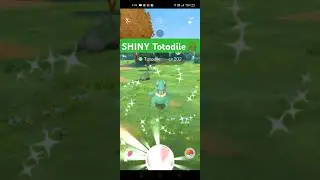 Caught Shiny Totodile in Pok&eacute;mon GO! ✨😮#pokemongo #ytshorts #totodile