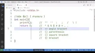 LearnC-Day1 ตอน 1 - เขียนโค้ดกันเบื้องต้นบน VS Code