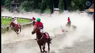 Innalillahi!!!!!!!... Detik Detik Insiden Kuda Jatuh live JATENG DERBY 2024 Tegalwaton Kab. Semarang
